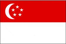 SG flag.jpg